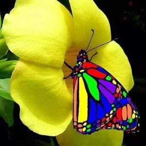 Meet your Posher, Beatrice